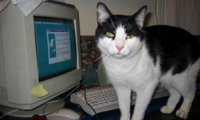 computer picture