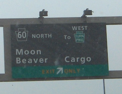 moon beaver