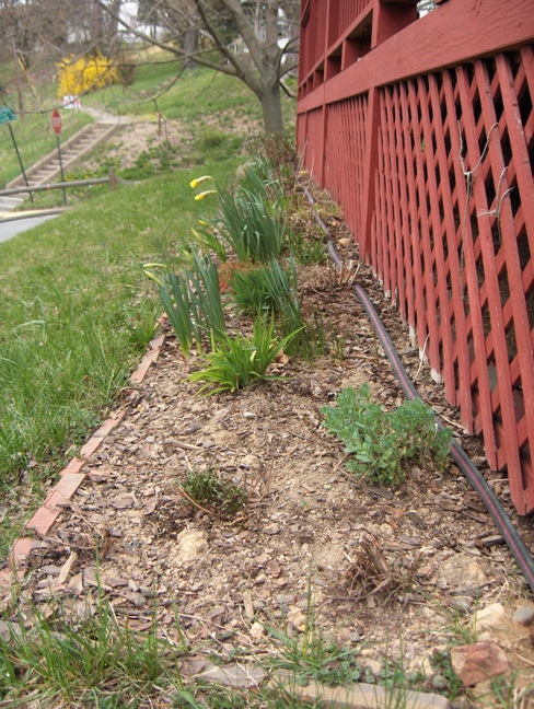 Front Garden Early April