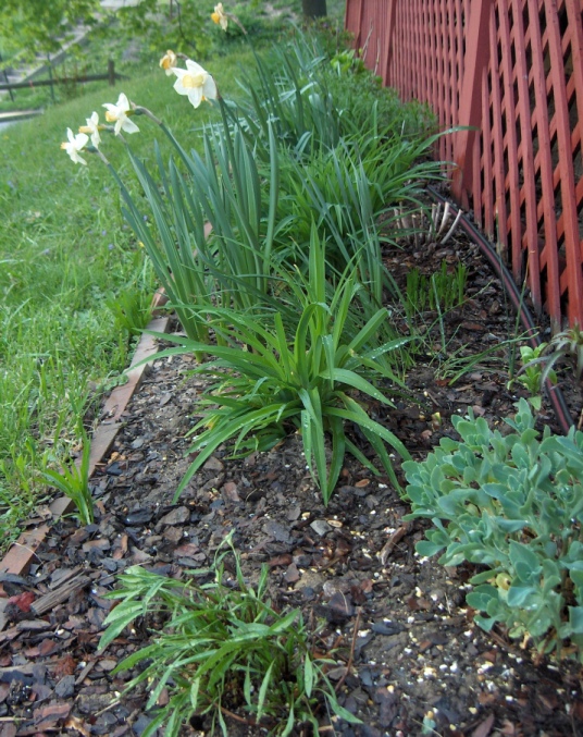 Front Garden Late April